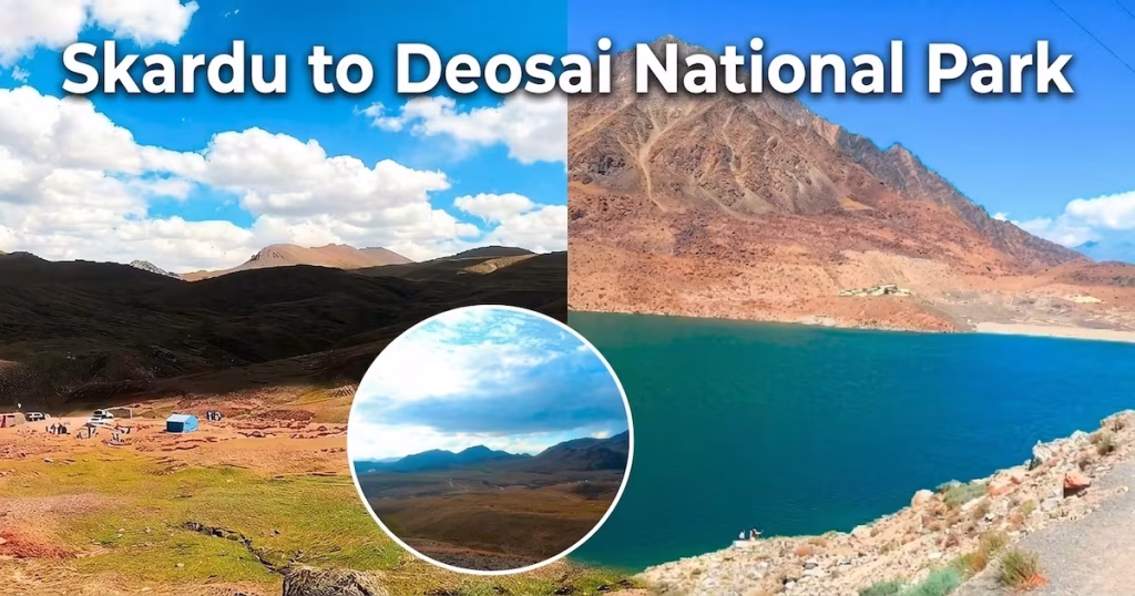 how to reach Deosai National Park from Skardu
